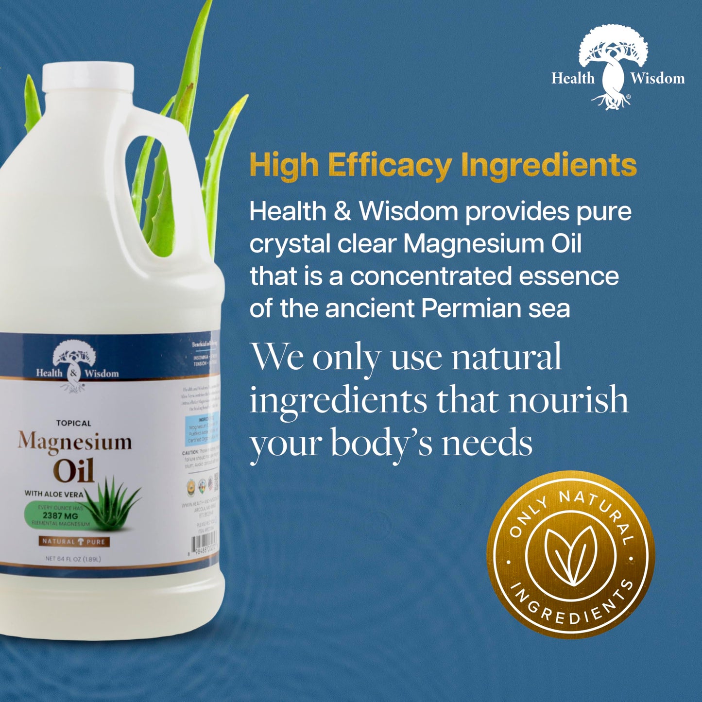 Health & Wisdom Pure Magnesium Oil with Aloe Vera - Topical Muscle & Joint Relief- Natural and Pure USP Grade Extra Strength Magnesium - Enhanced Beauty & Personal Care Health and Wisdom