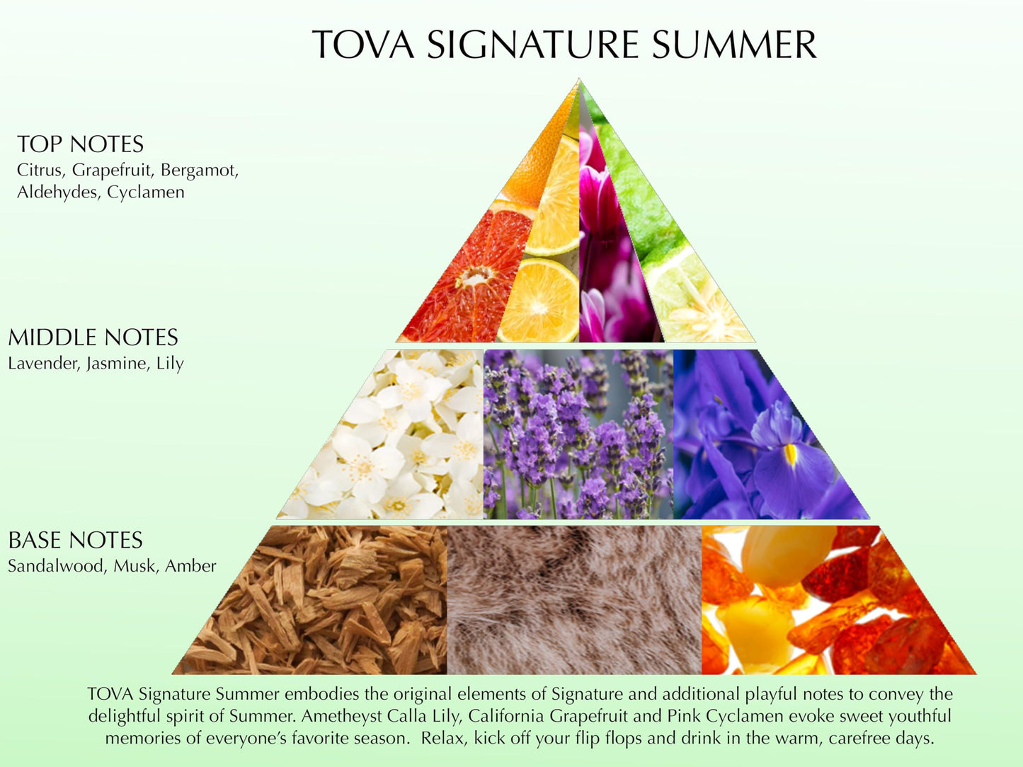 Tova Signature Summer Eau de Parfum - Floral Citrus Perfume for Women - Bergamot Jasmine Musk - Crafted in France & Cruelty-Free - 3.4 fl oz Beauty & Personal Care Tova