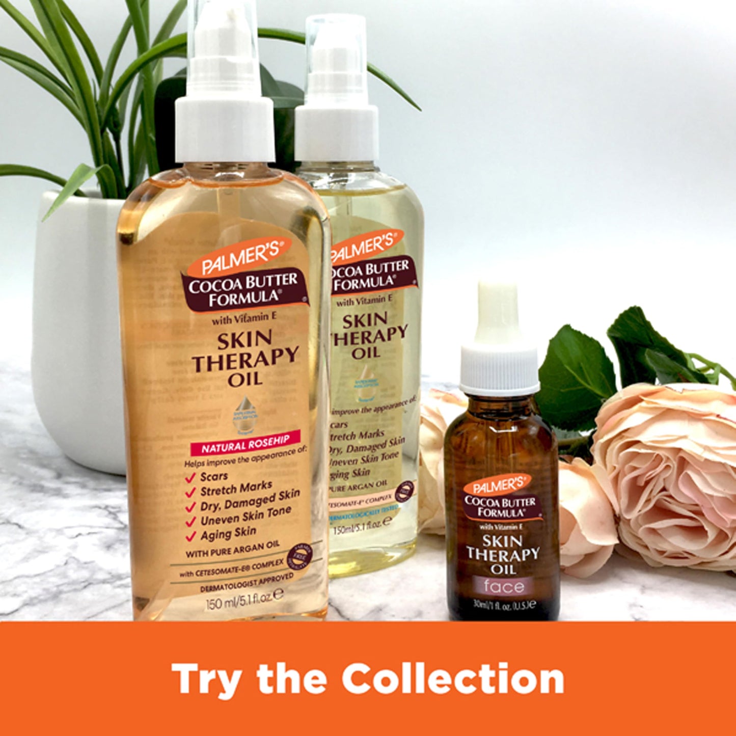 Palmer's Cocoa Butter Formula Skin Therapy Moisturizing Body Oil with Vitamin E, Rosehip Fragrance, 5.1 Ounces Beauty & Personal Care Palmer's