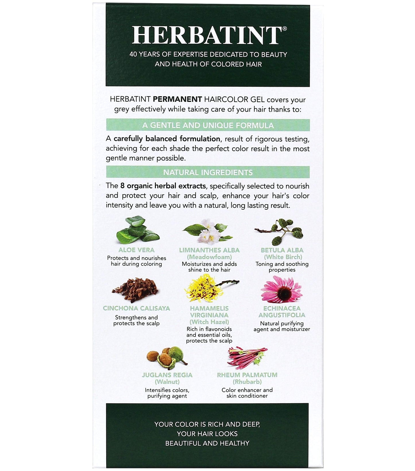 Herbatint 8R Light Copper Blonde Permanent Hair Colour, 4 OZ Beauty & Personal Care Herbatint