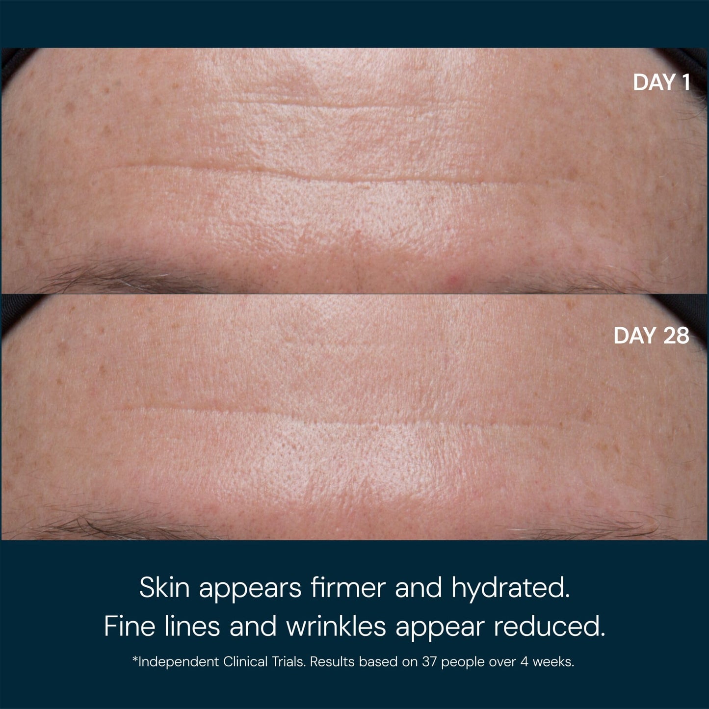 ELEMIS Pro-Collagen Marine Cream SPF 30, Lightweight Anti-Wrinkle Daily Facial Moisturizer Beauty & Personal Care ELEMIS