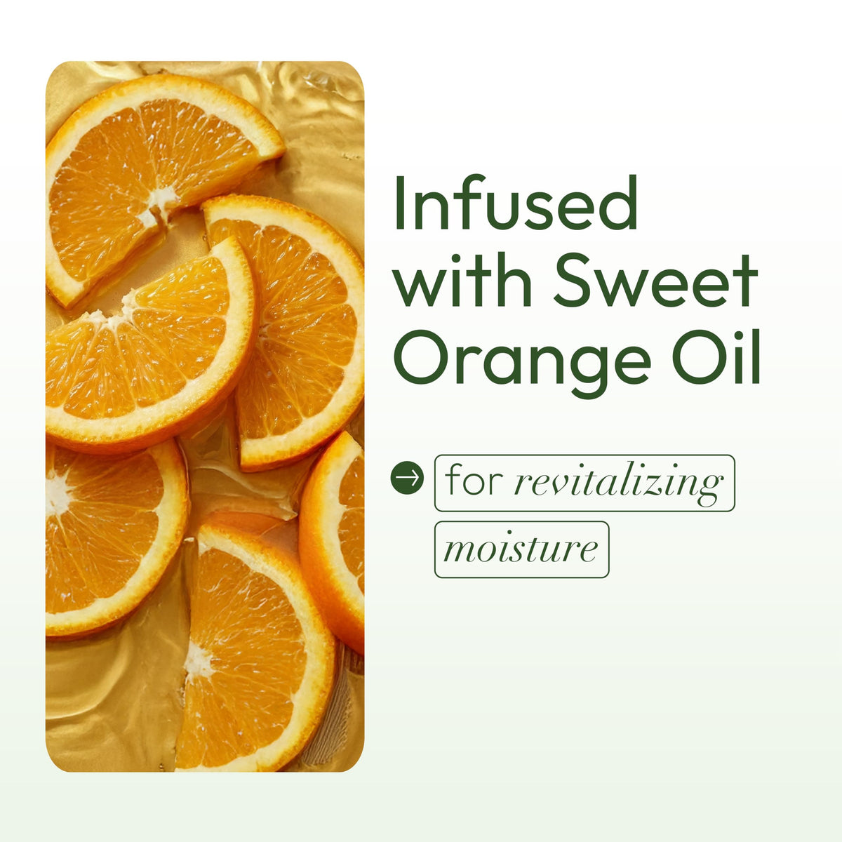 ORS Olive Oil HBCU Replenishing Conditioner with Sweet Orange Oil for Revitalizing Moisture 16.0 Ounces
