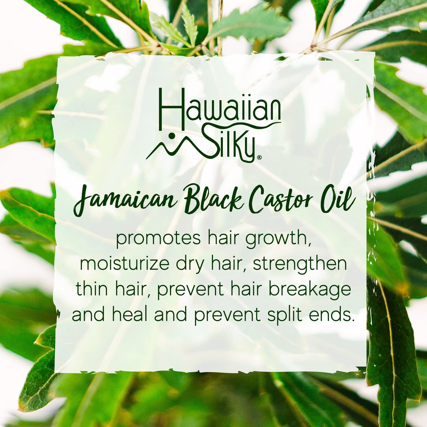 Hawaiian Silky Jamaican Black Castor Oil Collection Non Flaking Curling Gel Beauty & Personal Care Hawaiian Silky