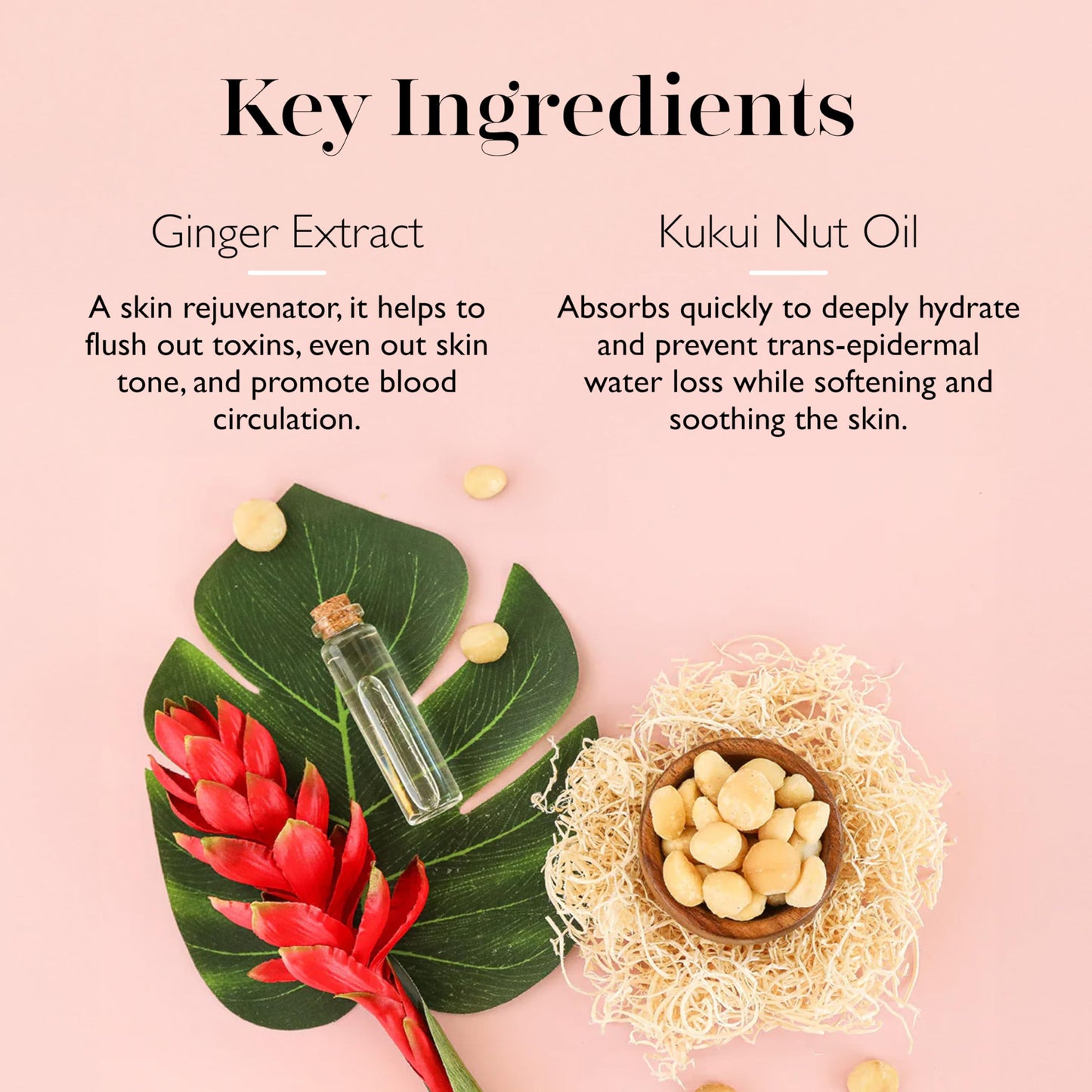 Spongellé White Ginger Hawaiian Buffer - Body Wash Infused Sponge with Awapuhi & Kukui Nut Oil - Exfoliates & Hydrates - 14+ Uses Beauty and Personal Care SPONGELLÉ