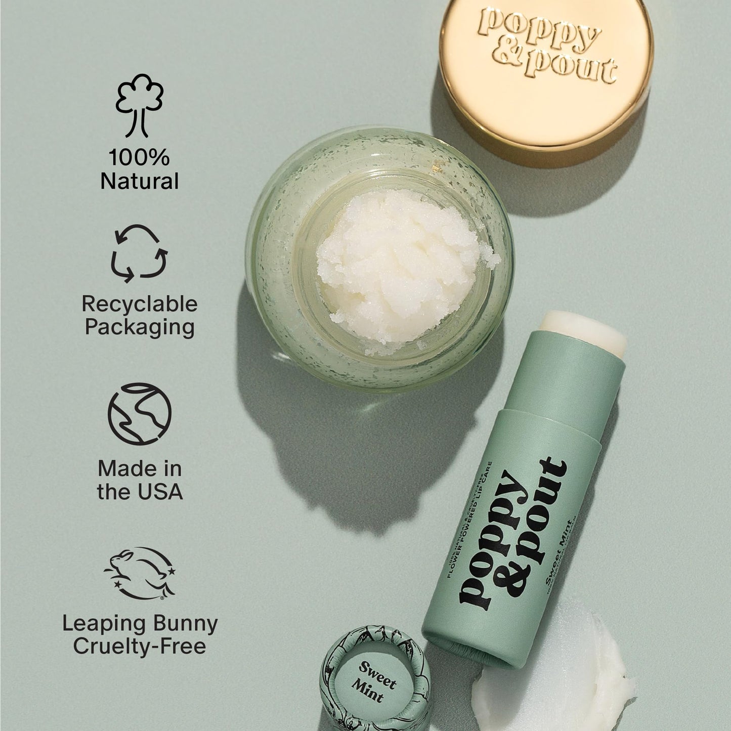 Poppy & Pout Lip Care Set - Lip Balm & Scrub - Sustainable Cardboard Tubes & Glass Jars, All Natural, Beeswax, Coconut Oil, Cruelty Free, Exfoliating Beauty and Personal Care Poppy & Pout