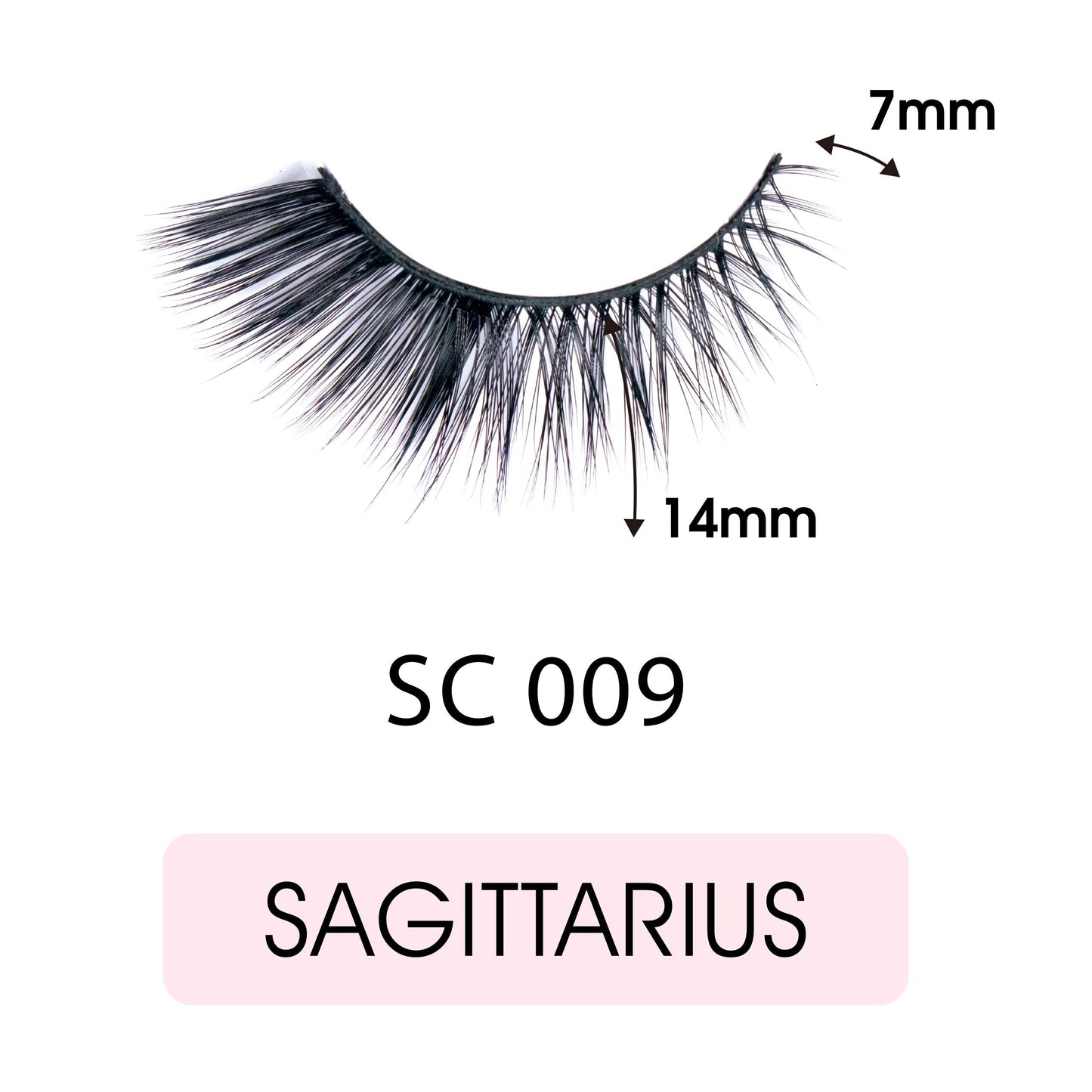 EBIN NEW YORK Cattitude 3D Lash 5 Pair - Sexy Cat 3D Lash Dramatic High Volume Extreme Length Lightweight Comfortable Wear Beautiful Winged Out Effect Beauty & Personal Care EBIN NEW YORK