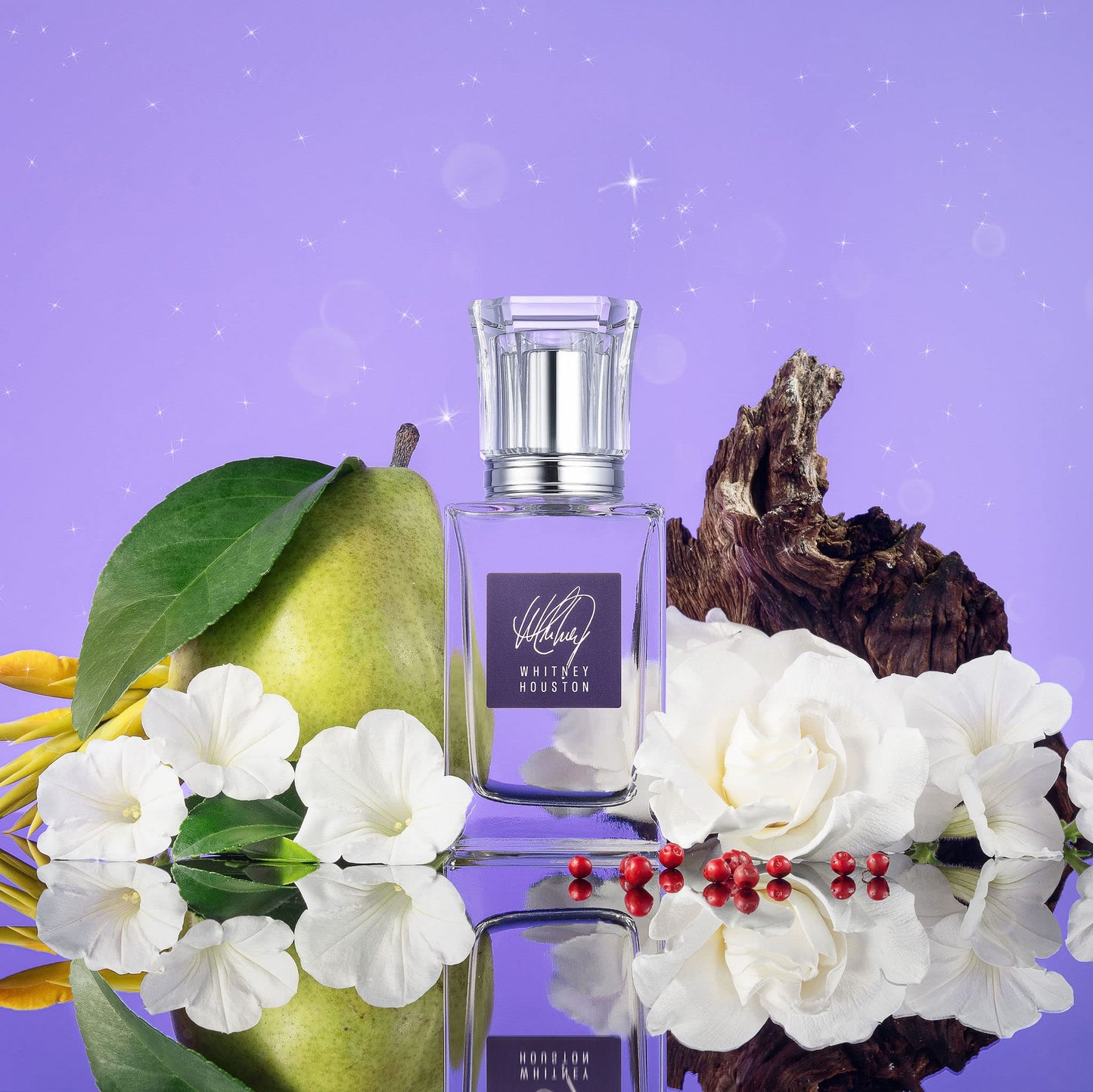 SCENT BEAUTY Whitney Houston - Eau de Toilette - Floral, Fruity Perfume for Women with Notes of Neroli, Jasmine, Cashmere Woods, and More - 1.0 Fl Oz Beauty & Personal Care SCENT BEAUTY
