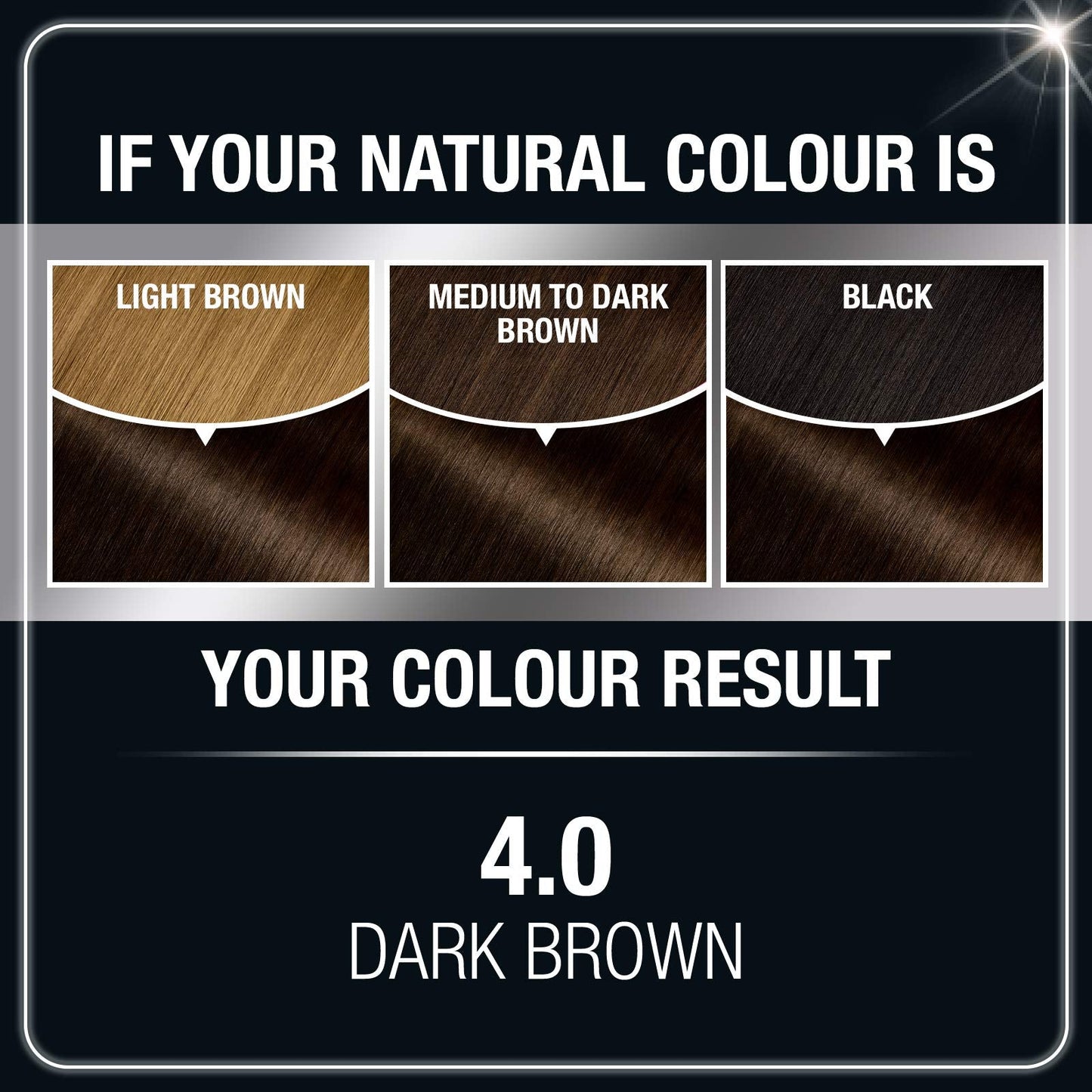 Garnier Olia Ammonia Free Permanent Hair Color, 100% Gray Coverage (Packaging May Vary), 4.0 Dark Brown Hair Dye, Pack of 1 Beauty & Personal Care Garnier