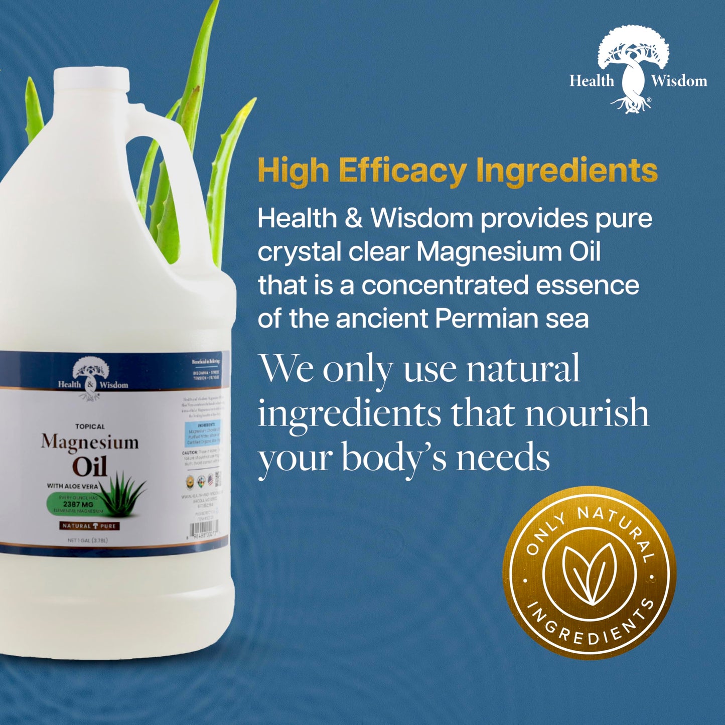Health & Wisdom Pure Magnesium Oil with Aloe Vera - Topical Muscle & Joint Relief- Natural and Pure USP Grade Extra Strength Magnesium - Enhanced Beauty & Personal Care Health and Wisdom
