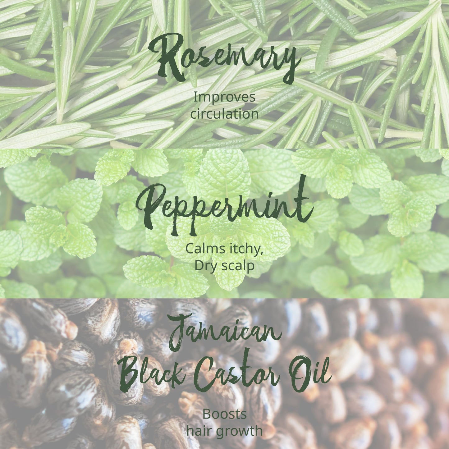 Hair Gro Rosemary Mint Shampoo & Conditioner Set - Jamaican Black Castor Oil Blend. Gently Cleanse, Moisturize, Refresh Scalp & Repair Damaged Hair Beauty & Personal Care Tropic Isle Living