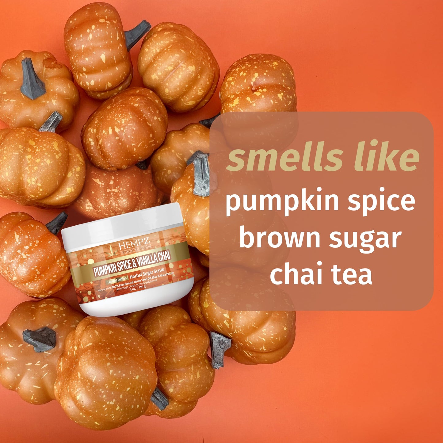 Hempz Limited Edition Pumpkin Spice & Vanilla Chai Herbal Lip Balm .44 oz Beauty & Personal Care Hempz