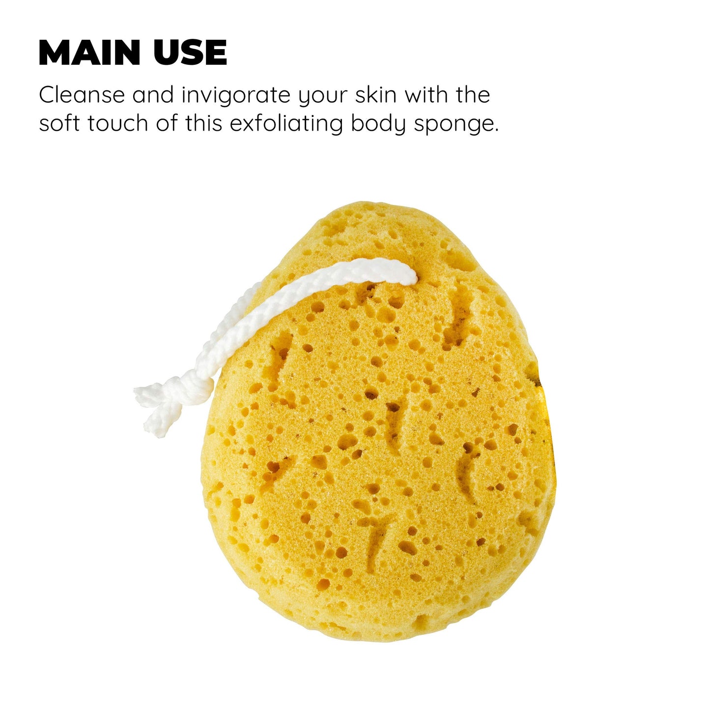 Jacent Deep Cleaning Foam Body Sponge, 1 EA Beauty & Personal Care Jacent
