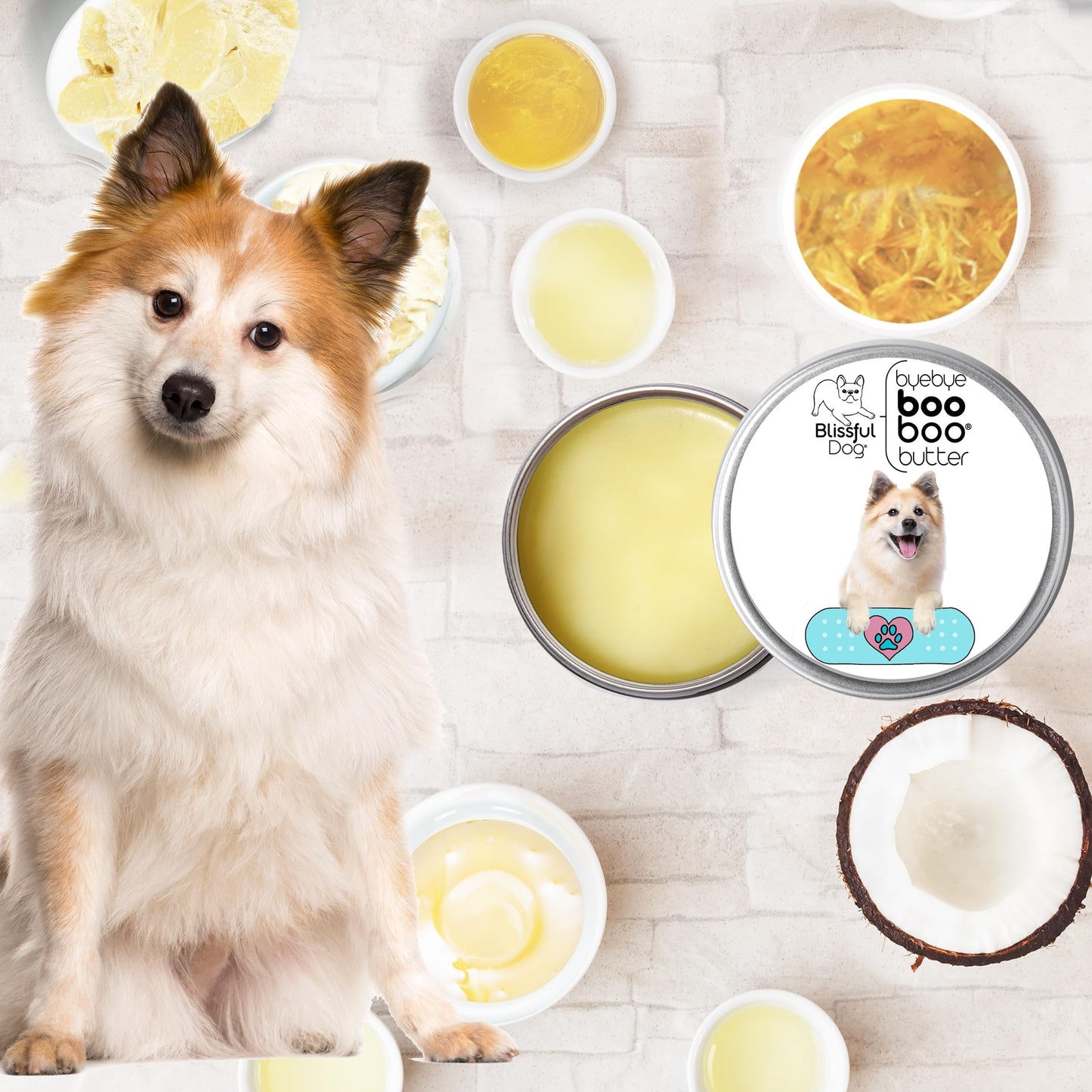 The Blissful Dog Icelandic Sheepdog Boo Boo Butter, 2 Ounce Beauty and Personal Care The Blissful Dog