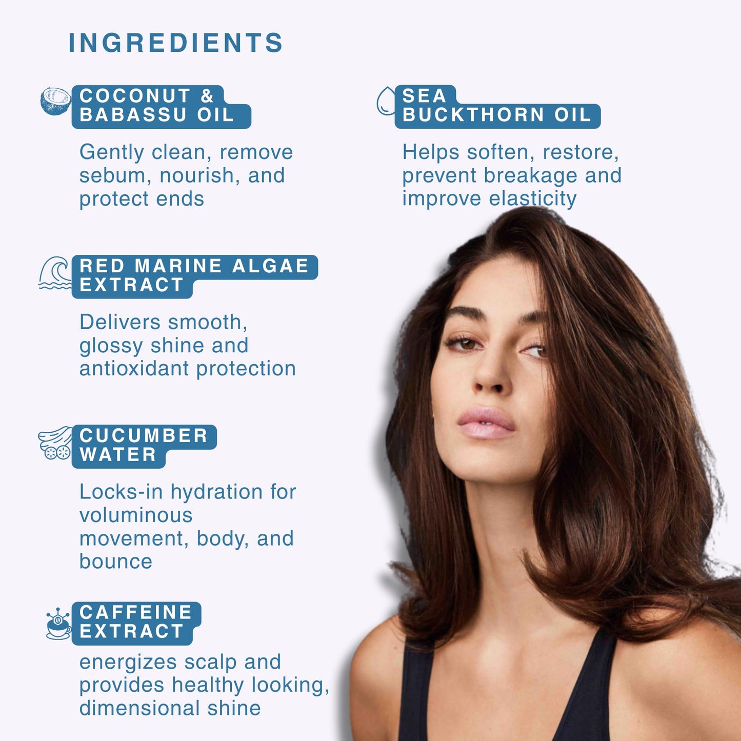 R+Co BLEU Essential Shampoo and Conditioner Liter Set - Daily Cleansing & Lightweight Hydration for All Hair Types - Smooths, Repairs, Detangles Beauty & Personal Care R+Co
