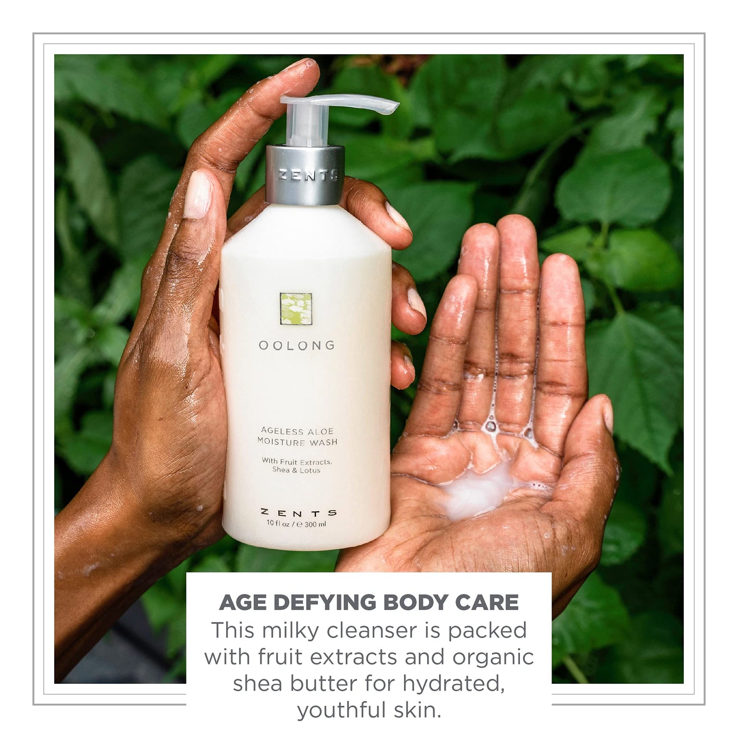 Zents Hand & Body Wash (Oolong Fragrance) | Hydrating Anti-Aging Cleanser with Organic Shea Butter & Aloe for Dry Skin | Gentle & Nourishing | 10 fl Beauty & Personal Care Zents