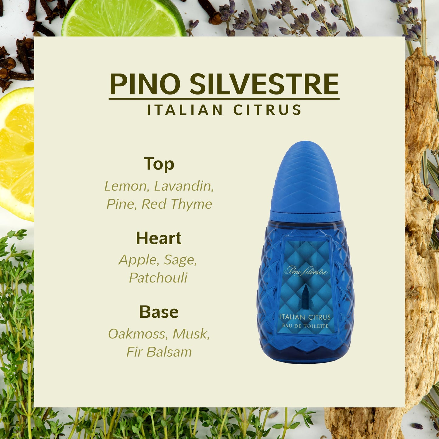 Italian Citrus by Pino Silvestre - Perfume for Men - Woody, Aromatic Scent - Blended with Lemon, Pine, Apple, Patchouli, and Musk - for Calm Beauty & Personal Care Pino Silvestre