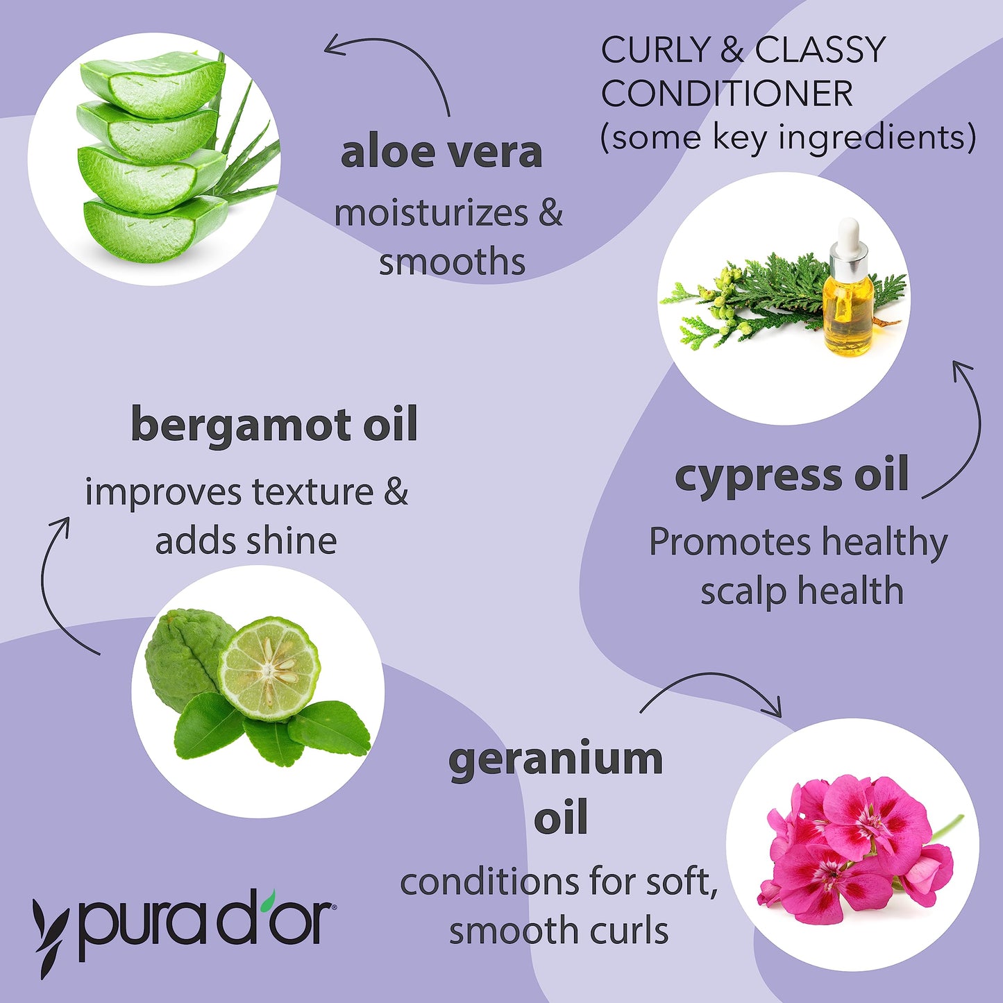 PURA D'OR Curly & Classy Shampoo & Conditioner Set for Defined Curls - Nourishing Formula with Argan, Castor, Geranium, Coconut & Kukui Seed Oils Beauty & Personal Care PURA D'OR