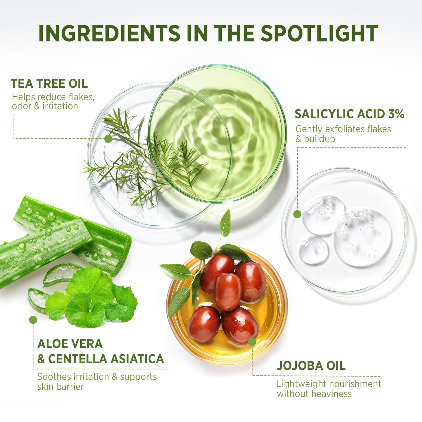 Roycederm Tea Tree Therapeutic Set: Shampoo, Conditioner & Body Wash Beauty & Personal Care Roycederm