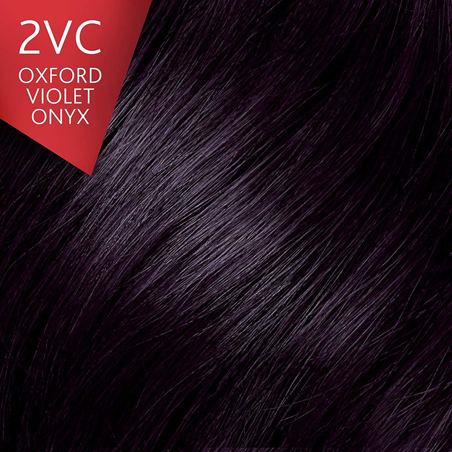 Vidal Sassoon Pro Series Permanent Hair Dye, 5WN Medium Chocolate Brown Hair Color, Pack of 1 Beauty & Personal Care Vidal Sassoon