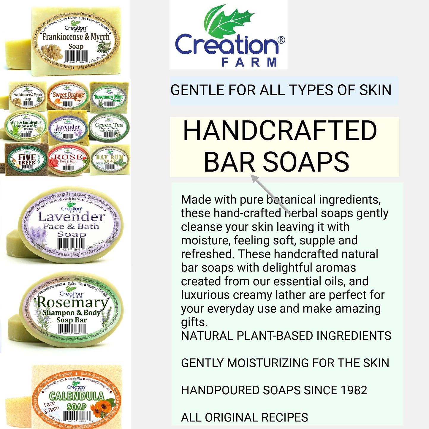 Handmade Rosemary Soap - 100% Pure Botanical Shampoo & Body Soap 8 oz (2-4 oz Bar Pack) from Creation Farm Beauty & Personal Care Creation Pharm