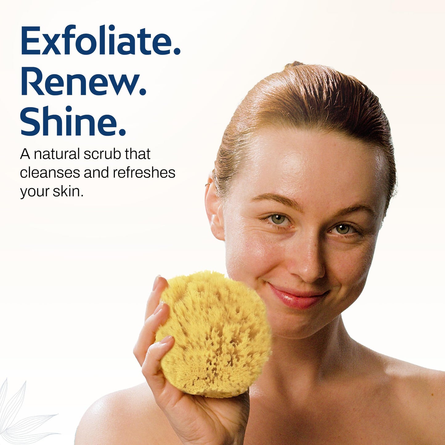 HartFelt Exfoliating Grass Sea Sponge Beauty Box - 2 Bath Sponges for Shower Women & Men 4in - Natural Sponge with Mesh Bag for Cleaning & Drying Beauty and Personal Care HartFelt