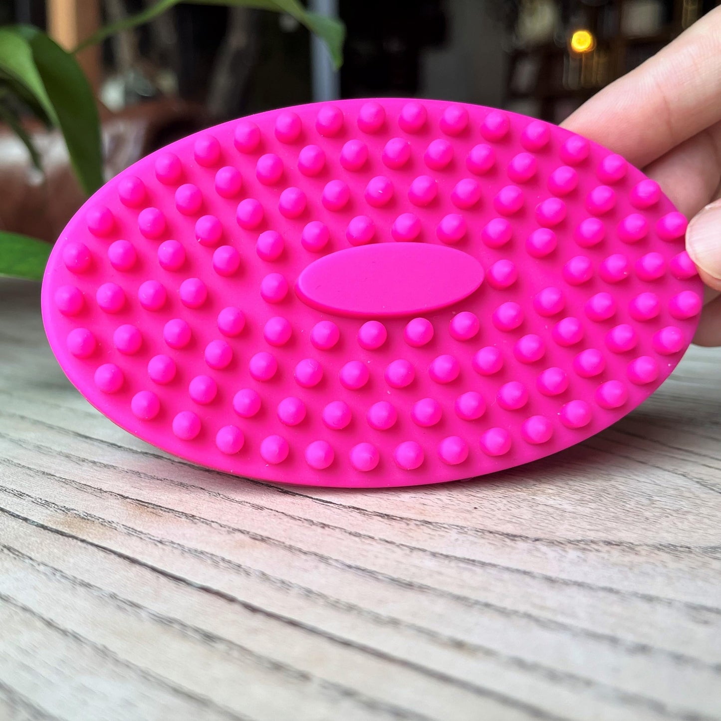 Premium Sensory Brush for Kids or Autism,Soft Silicone Body Scrubber,2 in 1 Sensory Room Occupational Therapy Sensory Brushes,Silicone Loofah,Pets Beauty and Personal Care penepico