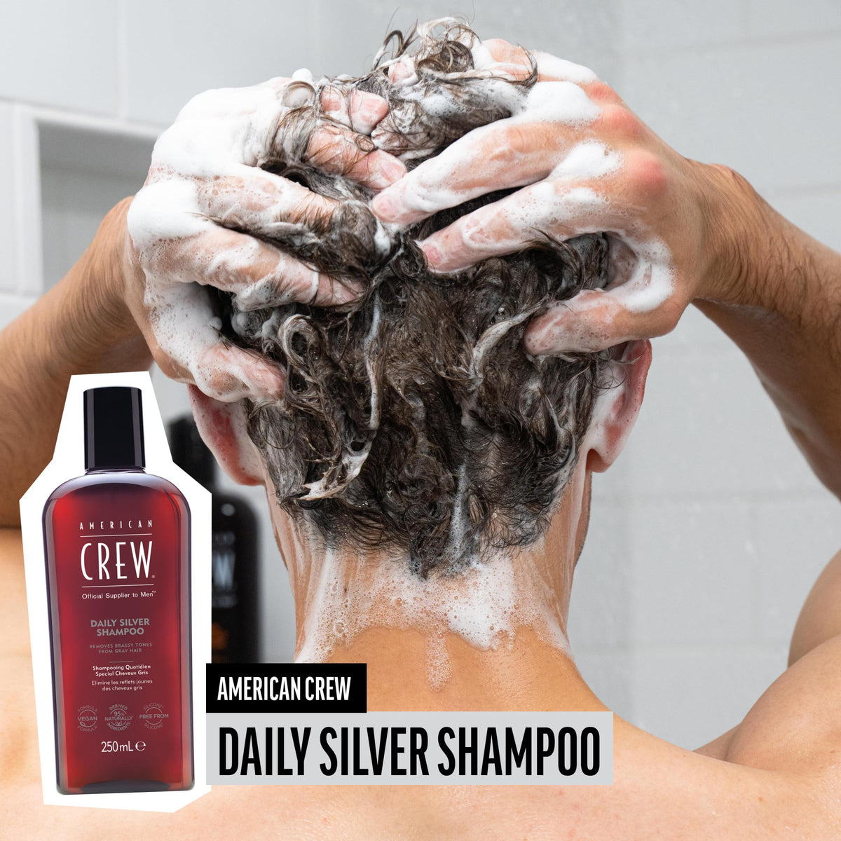American Crew Men's Shampoo, Daily Silver, Removes Brassy Tones, Naturally Derived, Vegan Formula, 8.4 Fl Oz Beauty & Personal Care AMERICAN CREW