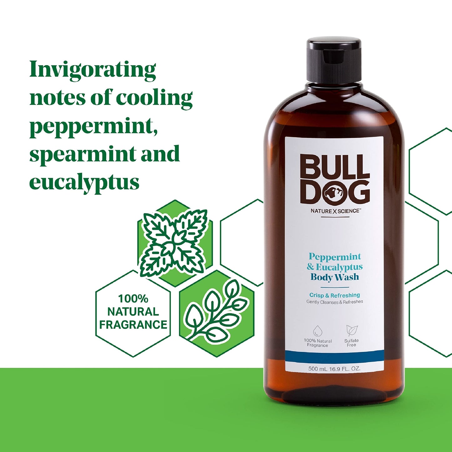 Bulldog Mens Skincare and Grooming Body Wash, Peppermint and Eucalyptus, 16.9 Fl Oz Beauty & Personal Care Bulldog Skincare for Men