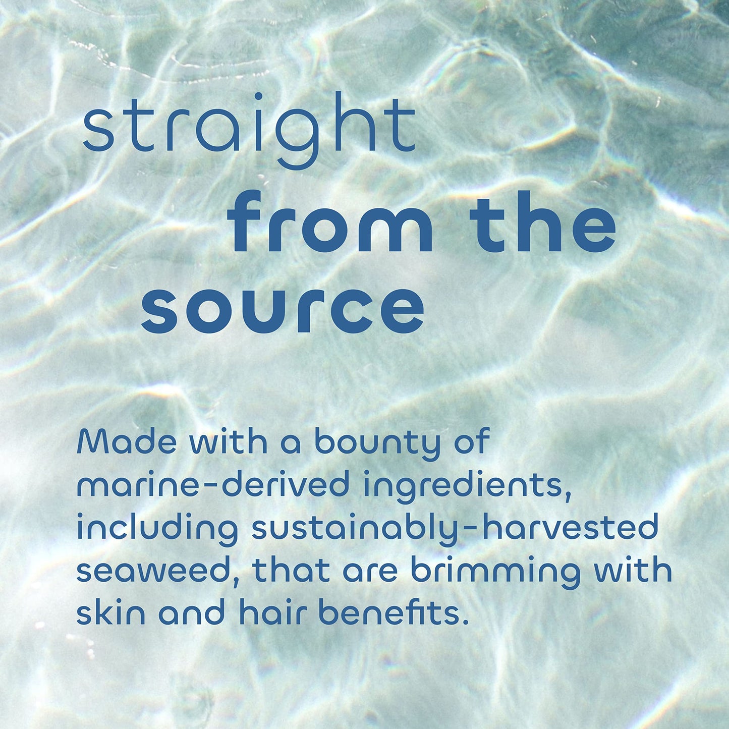 Seaweed Bath Co. Hydrate Body Cream, Citrus Vanilla Scent, 6 Ounce, Nourishing Hand & Body Lotion Moisturizer for Dry Skin, with Sustainably Harvested Beauty & Personal Care The Seaweed Bath Co.