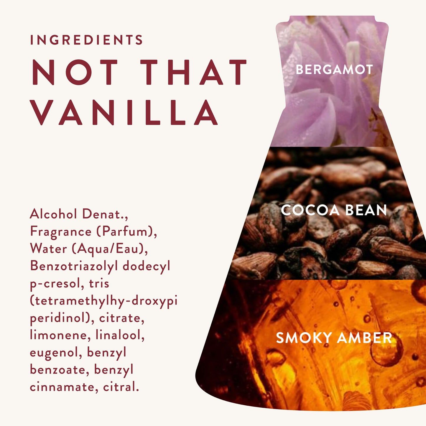 Good Chemistry Not That Vanilla Eau de Parfum 1.7 fl oz - Long-Lasting Perfume with Bergamot, Cocoa Bean, & Amber - Enchanting, Clean & Vegan Beauty & Personal Care Good Chemistry