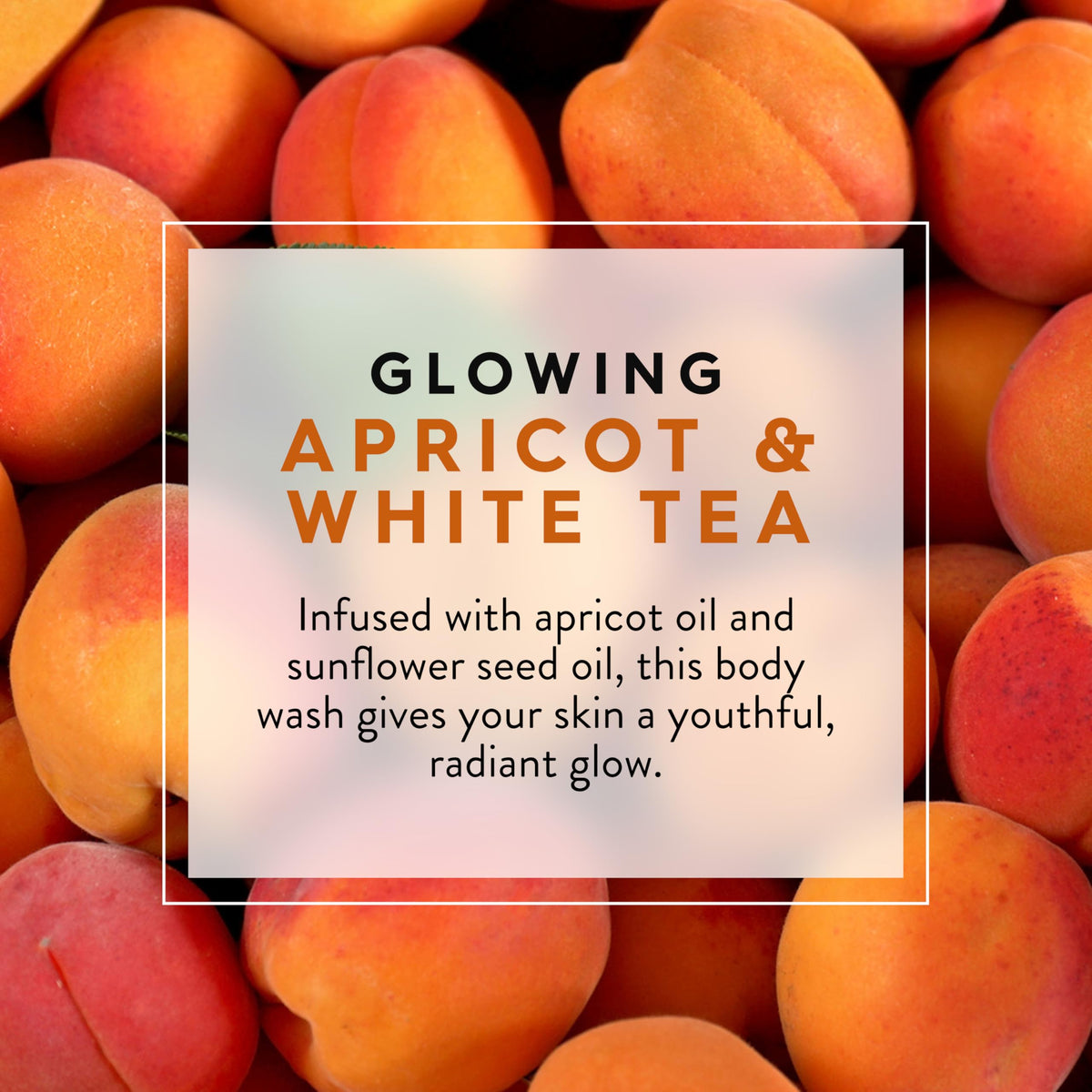 JASON Apricot and White Tea Glowing Body Wash, For a Gentle Feeling Clean, 30 Fluid Ounces Beauty & Personal Care JASON