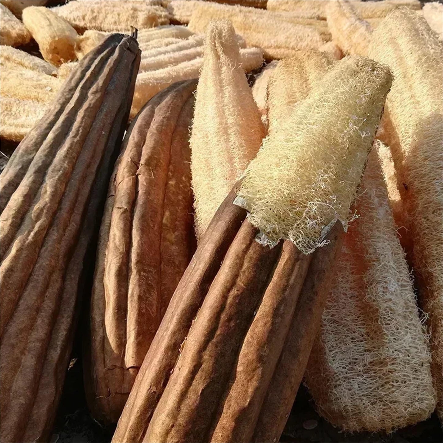 2PCS Natural Full Loofah Sponge Non-Stick Long Dishwashing Artifact Ecological Planting Good Absorbency Pot Brush Bath Kitchen(2PCS(20-29cm)) Beauty and Personal Care HIVJEEDYH