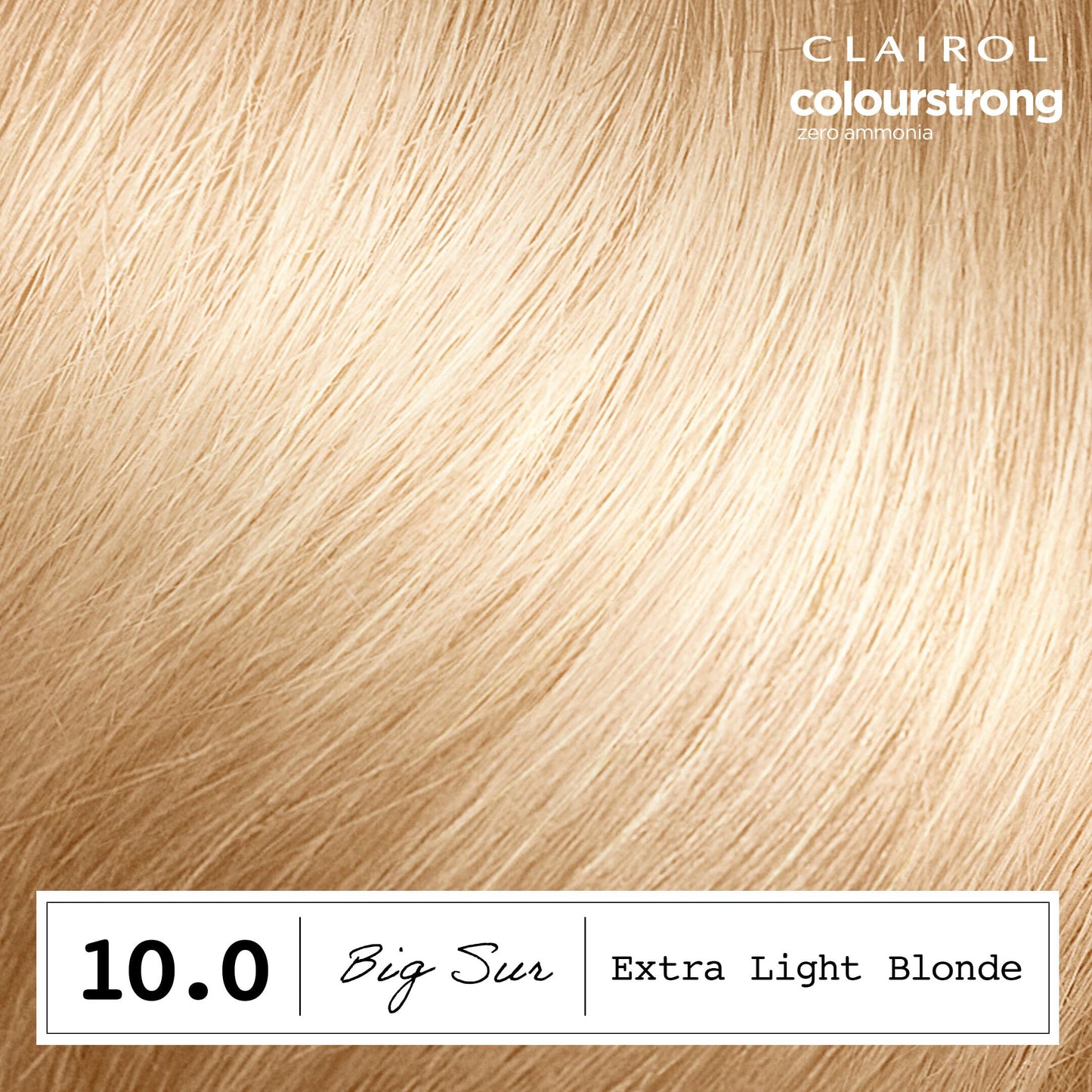 Clairol ColorStrong Permanent Hair Dye, Ammonia‑Free, PPD‑Free, 100% Gray Coverage with Bonding System, 10.0 Extra Light Blonde - Big Sur Hair Color Beauty and Personal Care Clairol