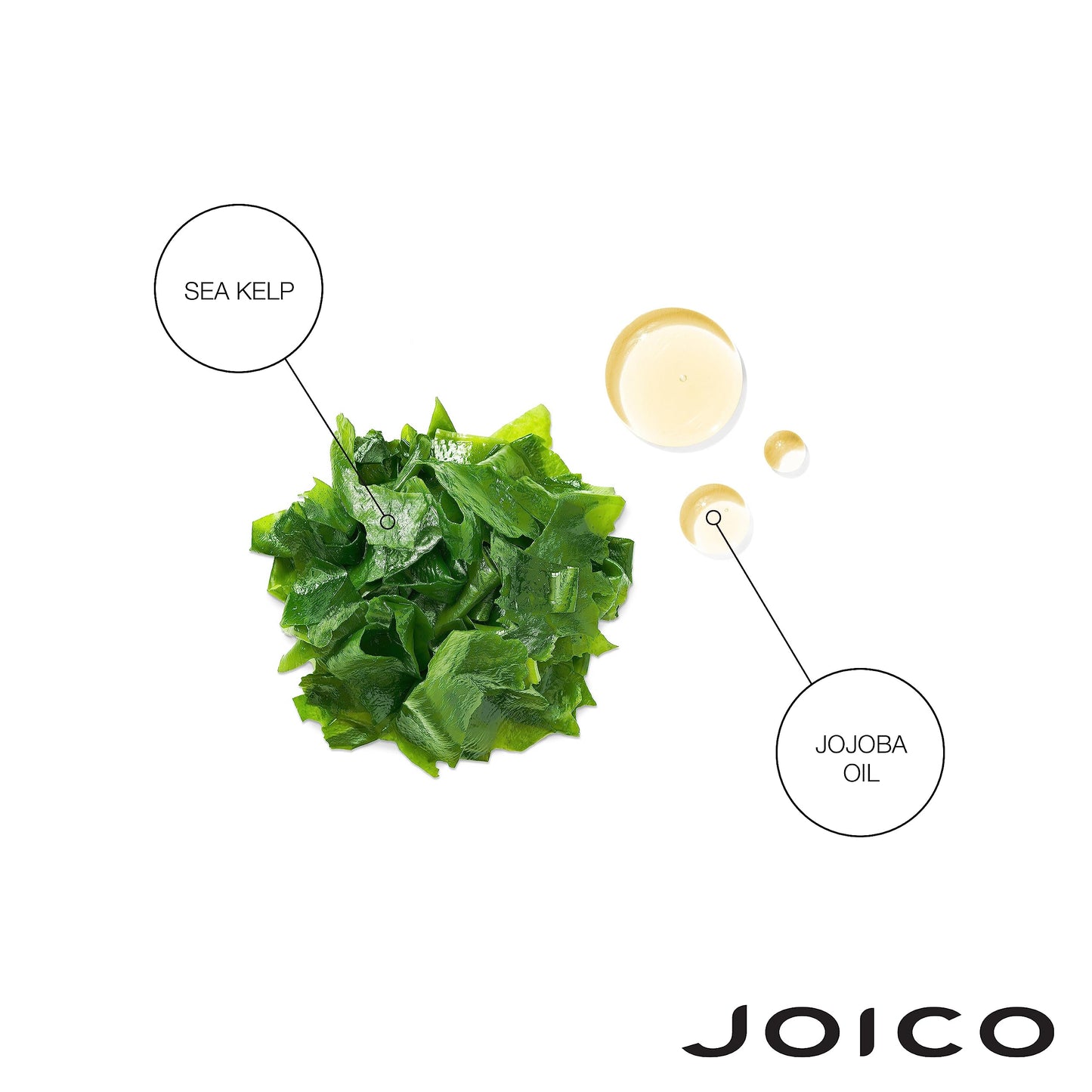 Joico Moisture Recovery Moisturizing Shampoo & Conditioner Set | Replenish Loss Moisture | For Thick & Coarse & Dry Hair Beauty & Personal Care Joico