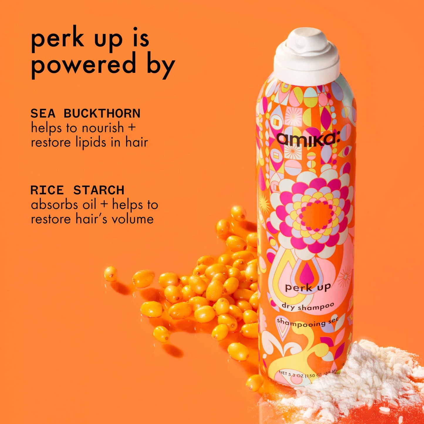 amika Perk Up Dry Shampoo, 5.3 oz. (Pack of 1) Beauty and Personal Care Amika