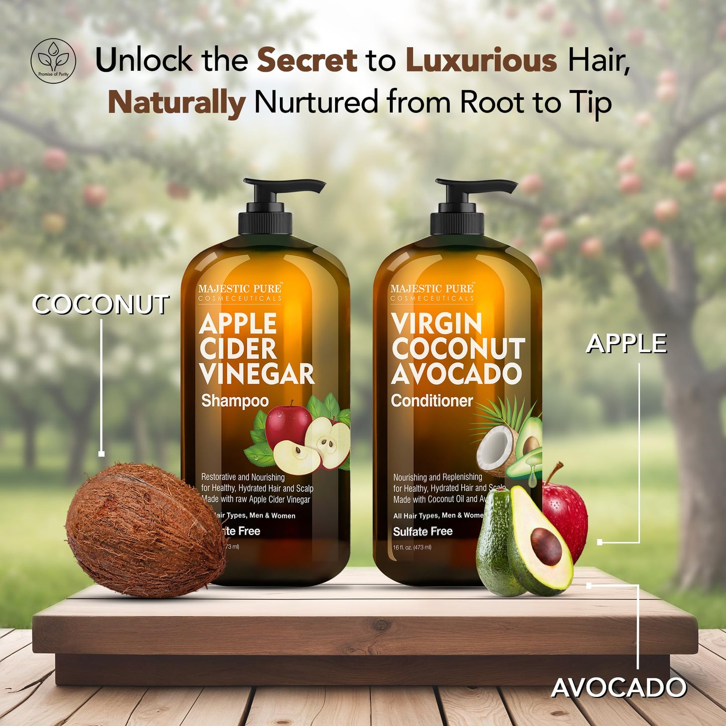 MAJESTIC PURE Apple Cider Vinegar Shampoo and Avocado Coconut Conditioner Set - Restores Shine & Reduces Itchy Scalp, Dandruff & Frizz - Sulfate Free Beauty & Personal Care Majestic Pure