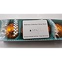 SPAPURE Wellness Collection CITRUS BURST - (4-pack) Aromatherapy Fizzing Shower Bombs by Spa Pure Naturals Beauty & Personal Care Spa Pure