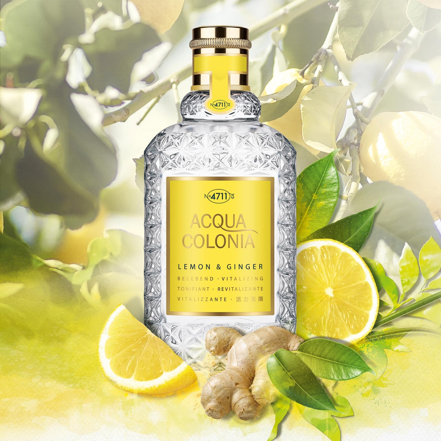 4711 Acqua Colonia Lemon and Ginger Eau de Cologne Spray for Women, 1.7 Ounce Beauty & Personal Care 4711