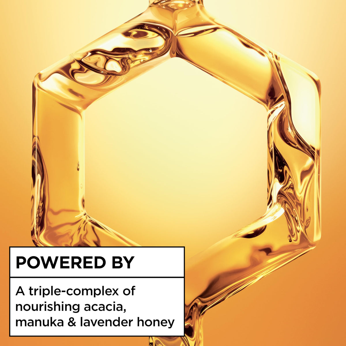 Garnier Whole Blends Sulfate Free Remedy Miracle Nectar 10-in-1 Repairing Leave-In Conditoner for All Hair Types, Honey Treasures, 5 Fl Oz, 2 Count