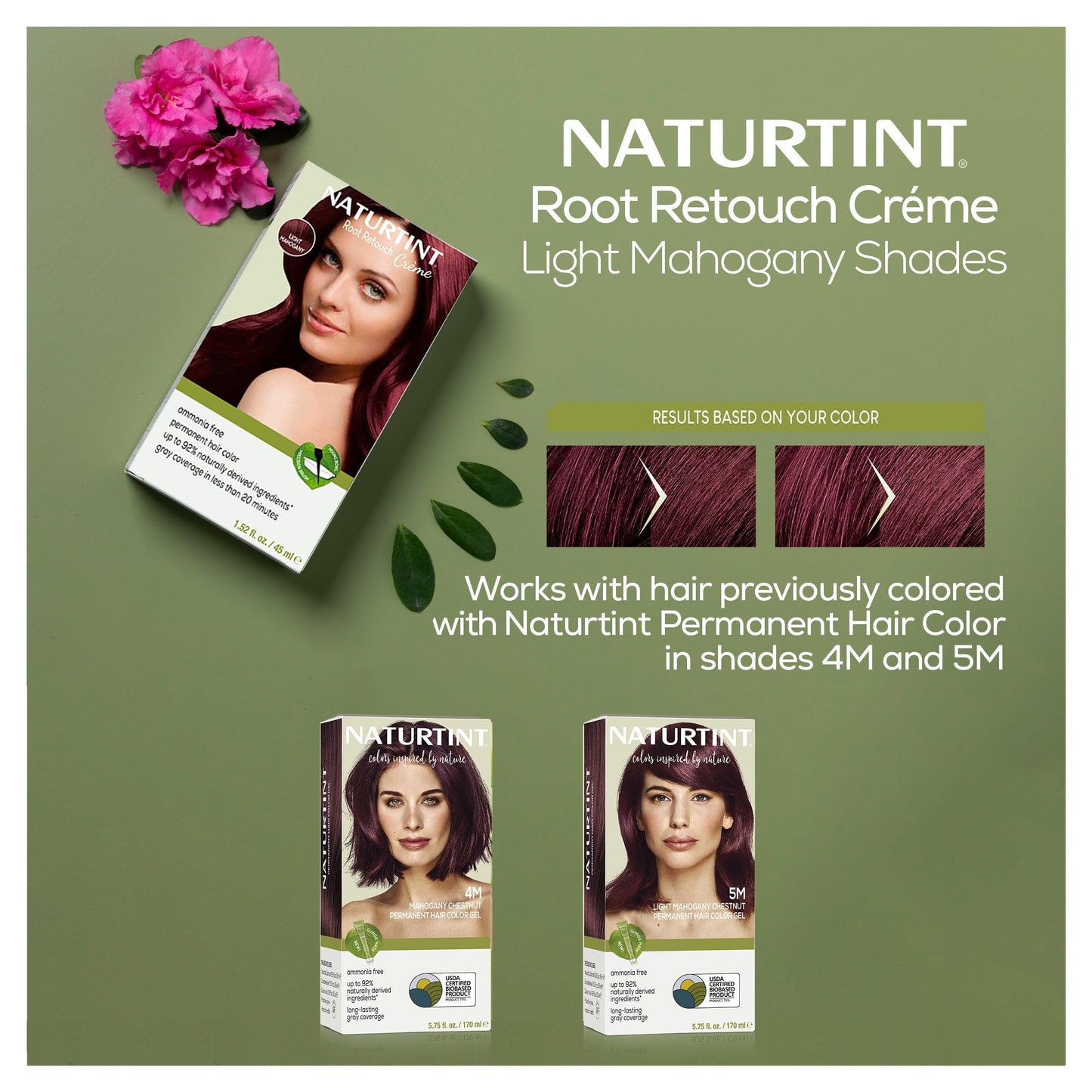 Naturtint Light Mahogany Root Retouch Crème Permanent Hair Color - Ammonia Free, Conceal Grays, No Artificial Scent, 1.52 Fl Oz Beauty & Personal Care Naturtint