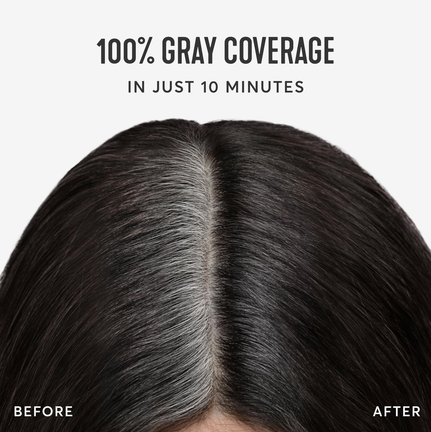 Madison Reed Root Perfection Root Touch Up Kit - 4N Spoleto Darkest Brown, 2 Permanent Applications, 100% Gray Coverage in 10 Min | PPD-Free Beauty & Personal Care Madison Reed