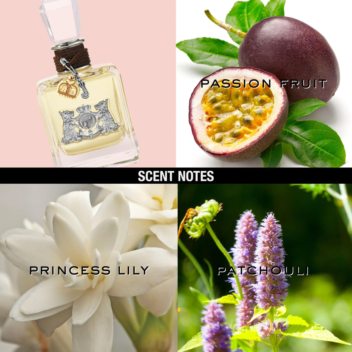 Juicy Couture Eau De Parfum, Women's Perfume with Notes of Passion Fruit, Princess Lili & Patchouli - Fruity & Floral Perfume for Women, EDP Spray Beauty & Personal Care Juicy Couture