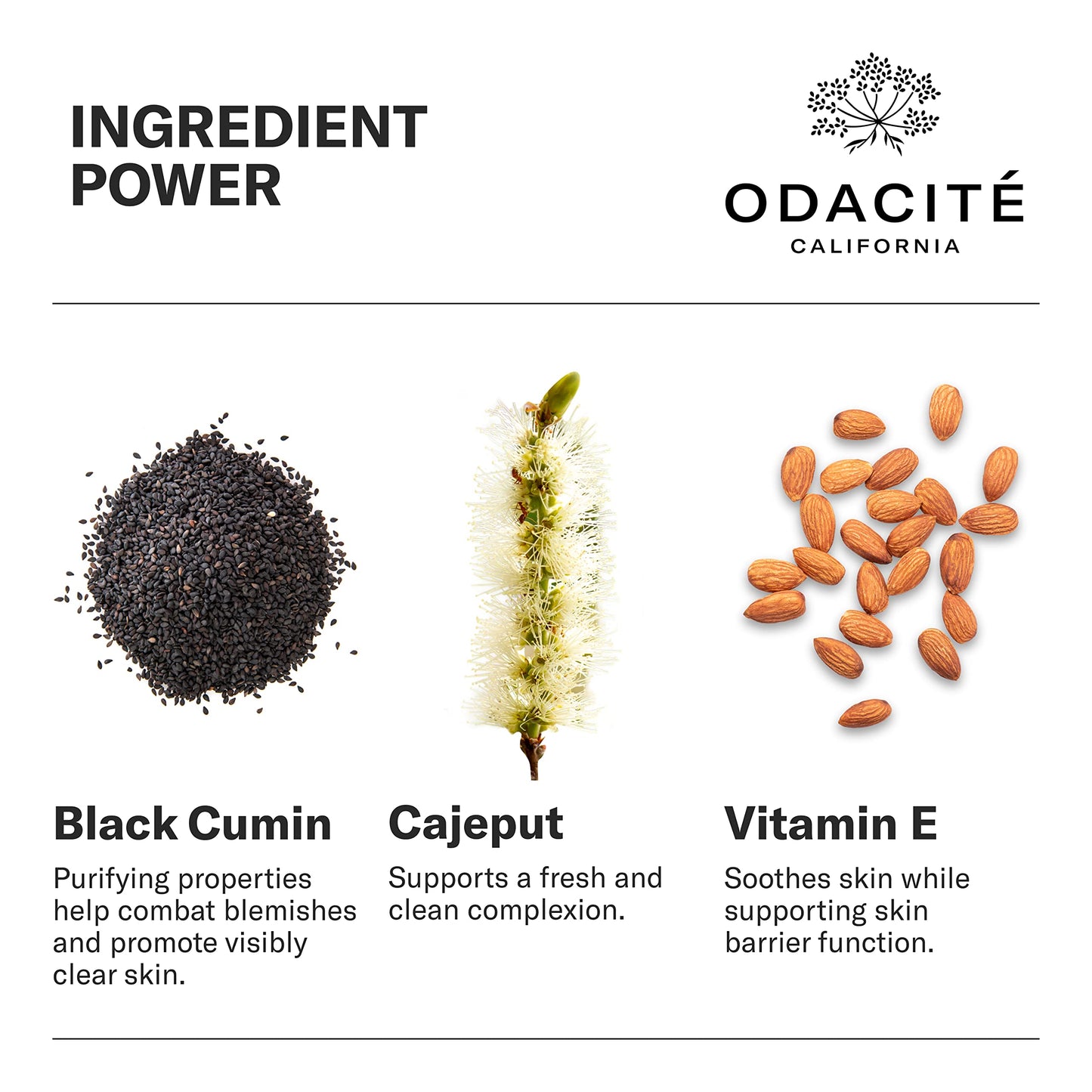 Odacité Bl+C Serum Concentrate for Face, Luxury Black Cumin + Cajeput Pore-Clearing Facial Oil for Pimples & Blemishes, Vegan Vitamin E Spot Treatment Beauty & Personal Care ODACITE