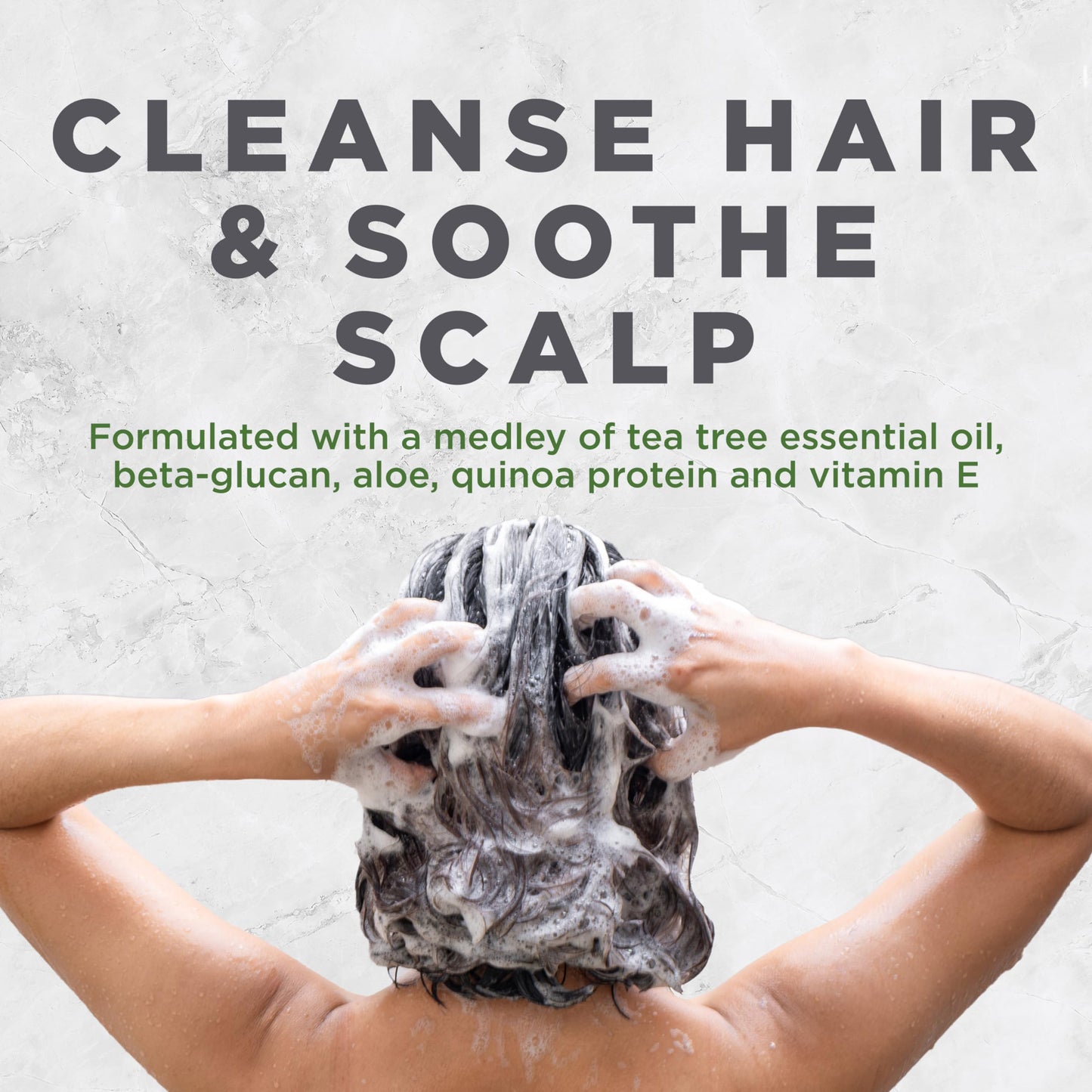 Avalon Organics Scalp Treatment Tea Tree Shampoo, Encourages Scalp Well-Being and Leaves Hair Soft, 11 Fluid Ounces Beauty & Personal Care Avalon Organics