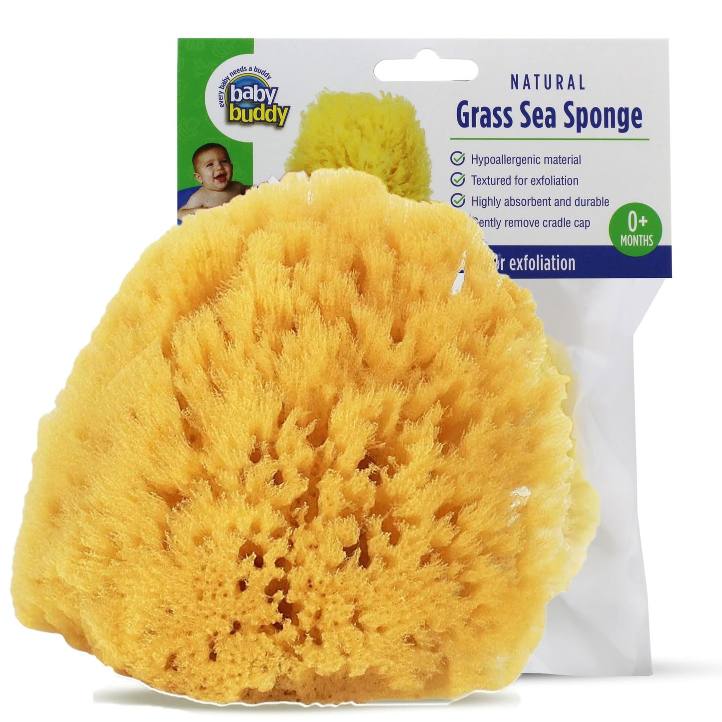 Baby Buddy Natural Baby Bath Sponge 4in Soft Grass Sea Sponge Soft on Baby's Tender Skin, Biodegradable, Hypoallergenic, Absorbent Natural Sea Sponge Beauty and Personal Care Baby Buddy