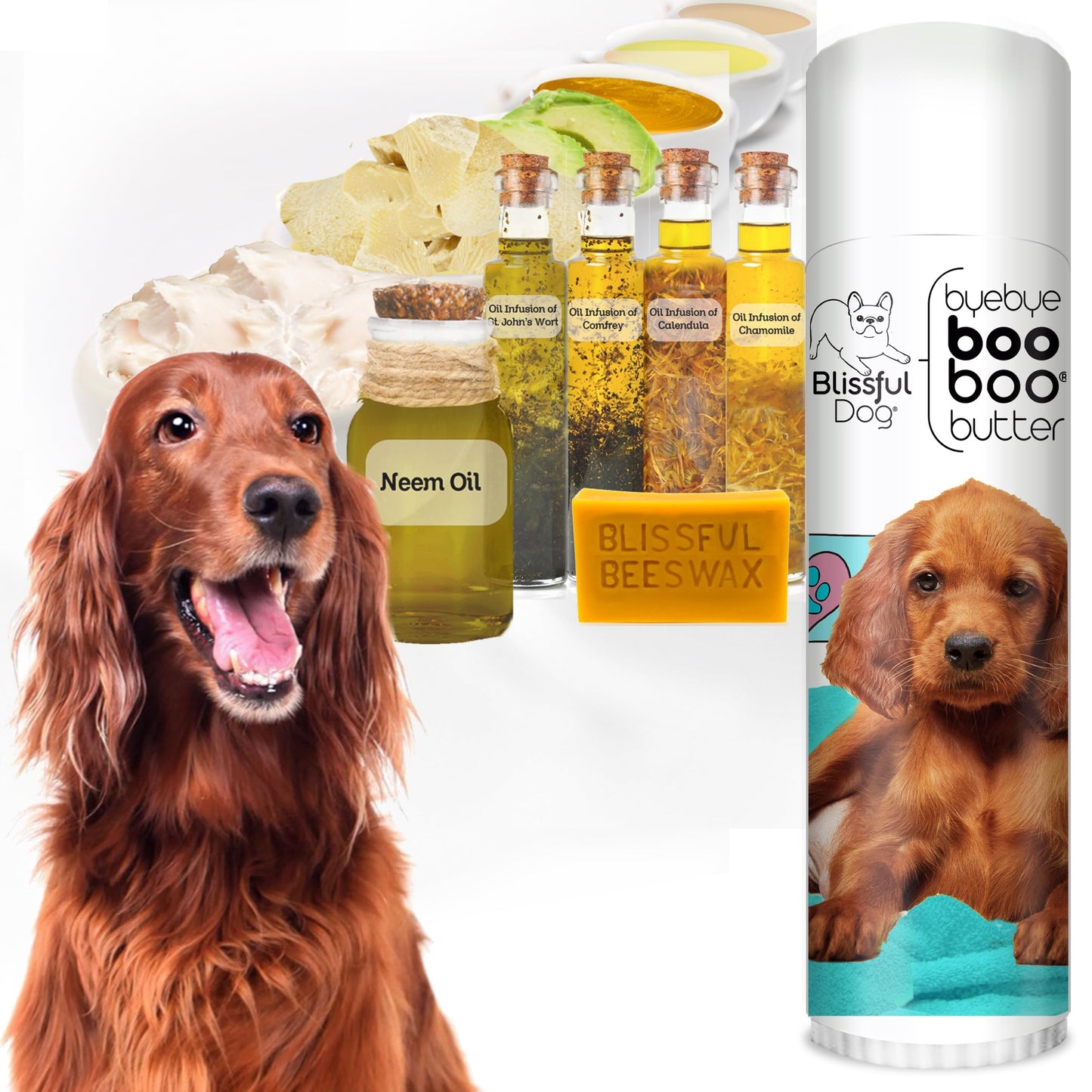 The Blissful Dog Irish Setter Boo Boo Butter, 0.50 Ounce Beauty and Personal Care The Blissful Dog