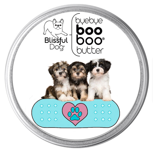 The Blissful Dog Havanese Boo Boo Butter, 2-Ounce Beauty and Personal Care The Blissful Dog