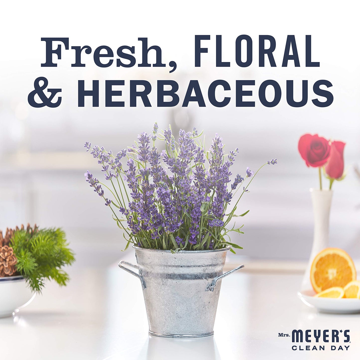 Mrs. MEYER'S Hand Soap Variety, 1 Lavender Refill, 1 Lavender Hand Soap, 1 CT Beauty & Personal Care Mrs. MEYER'S
