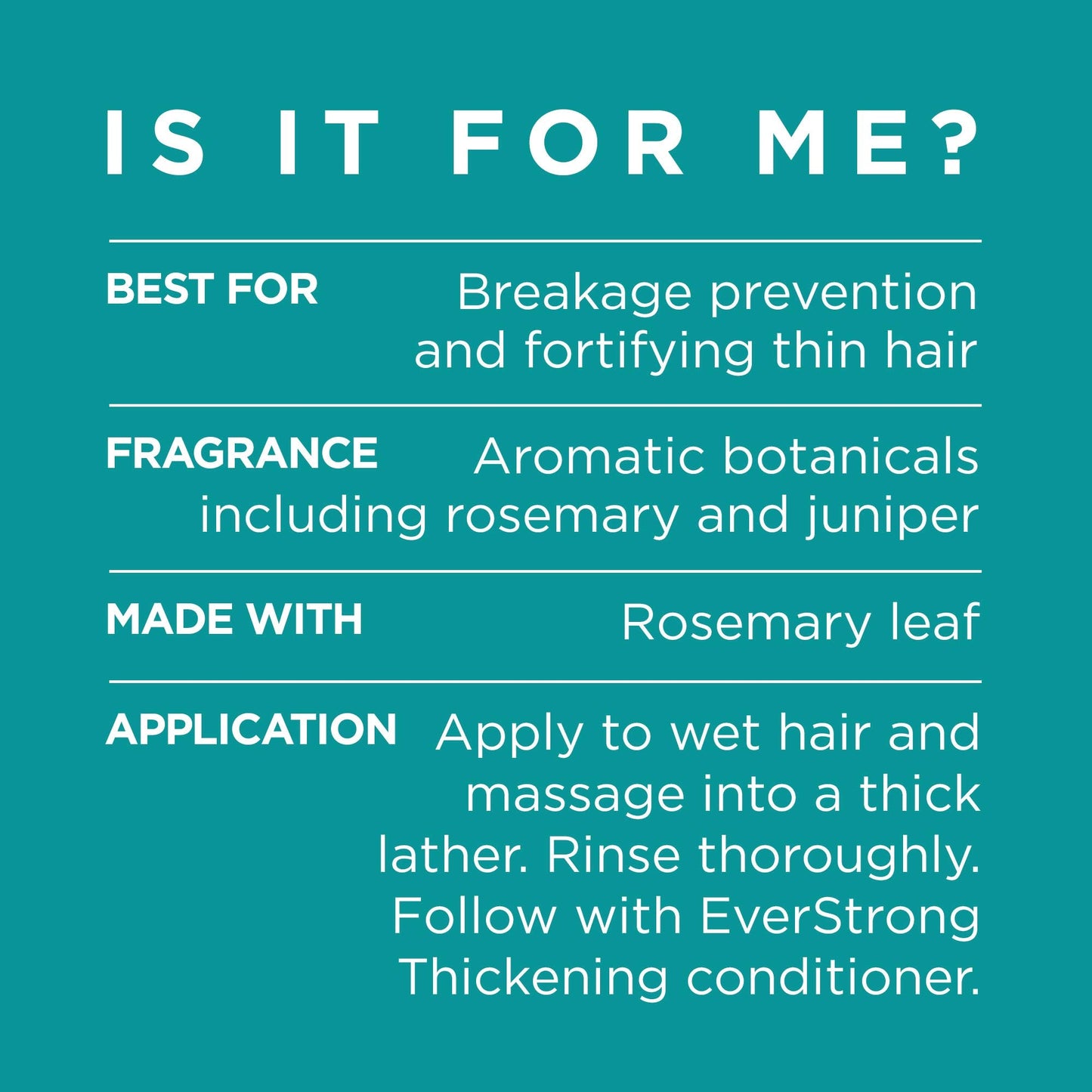 L'Oreal Paris Hair Expertise EverStrong Thickening Shampoo, Rosemary, 8.5 Fl Oz Beauty & Personal Care L'Oreal Paris