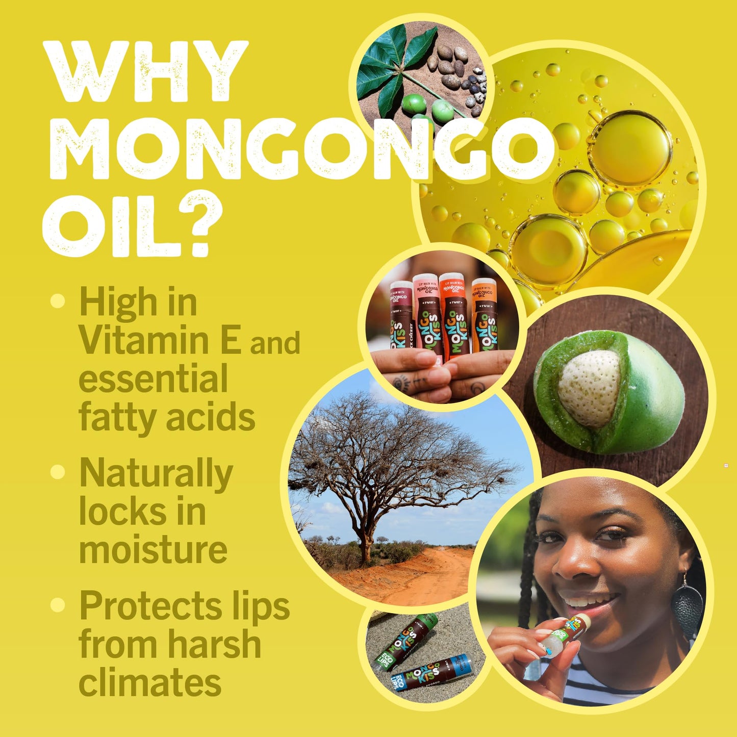 Eco Lips Mongo Kiss Organic Lip Balm 4 Pack Blood Orange, Yumberry, Strawberry Lavender, Black Cherry - 100 Percent USDA Organic - Soothe, Moisturize Beauty & Personal Care Eco Lips
